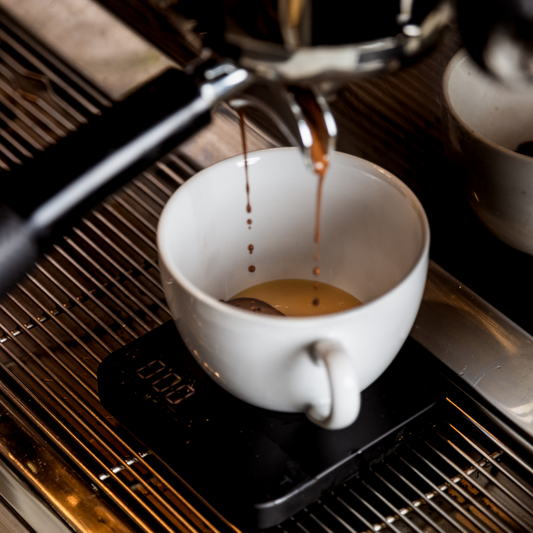 Espresso Brewing: The Heart of Coffee Excellence