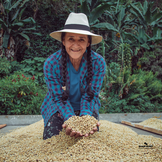 Empowered Women, Empowering Coffee: The Role of Women in Sustainable Coffee Farming